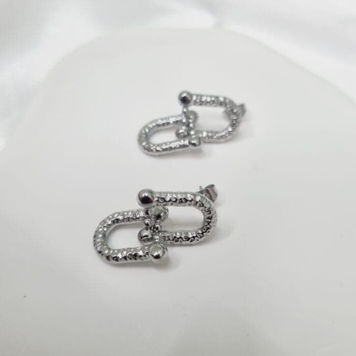 20241022_200124 Ατσάλινα σκουλαρίκια αλυσίδα - Image 1