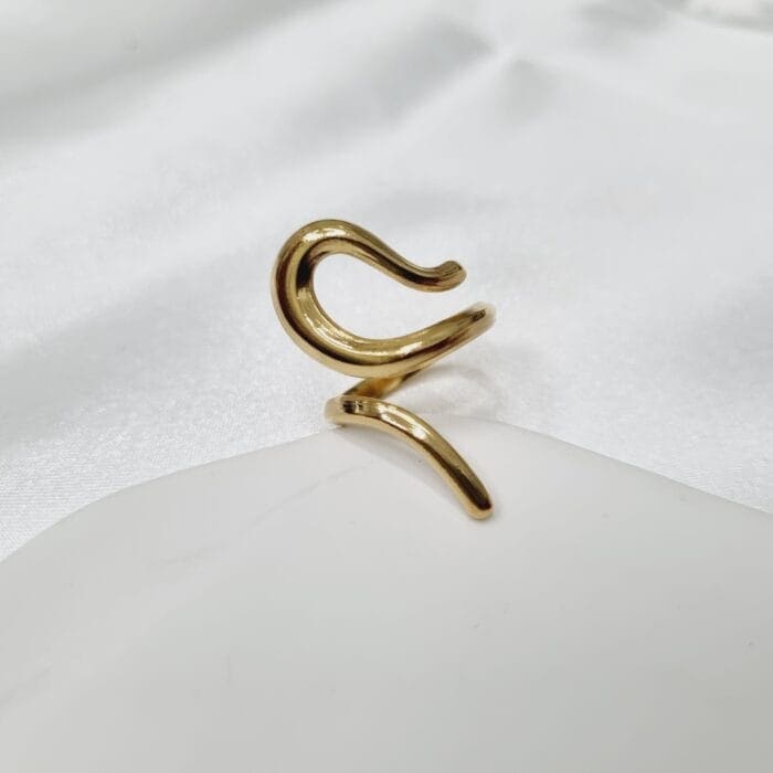 Ατσάλινο δαχτυλίδι - Image 1