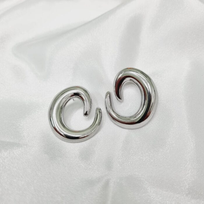 20241212_174031 Ατσάλινα σκουλαρίκια - Image 1