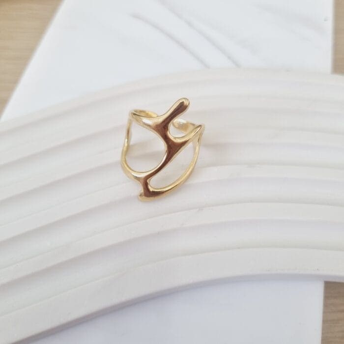 20250311_104648 Ατσάλινο δαχτυλίδι με ανοίγματα - Image 1