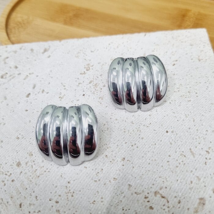 20250311_182003 Ατσάλινα σκουλαρίκια - Image 1