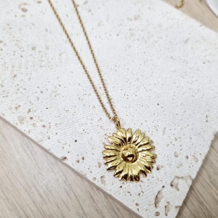 20250327_182448 Ατσάλινο κολιέ με μαργαρίτα - Image 1