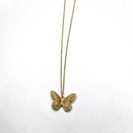 Ατσάλινο κολιέ με πεταλούδα