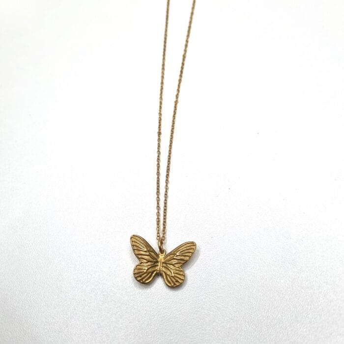 20251002_1926302 Ατσάλινο κολιέ με πεταλούδα - Image 1