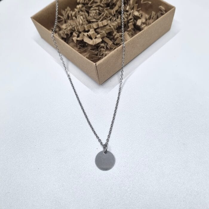 20251002_2011302 Ατσάλινο κολιέ με φλουρί - Image 1