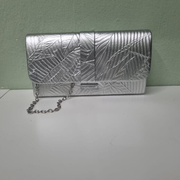 20251007_185729 Ασημί τσαντάκι - Image 1