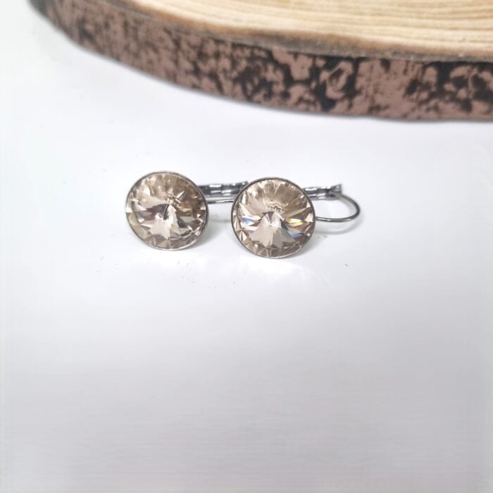 Ατσάλινα σκουλαρίκια με στρόγγυλα κρύσταλλα - Image 3