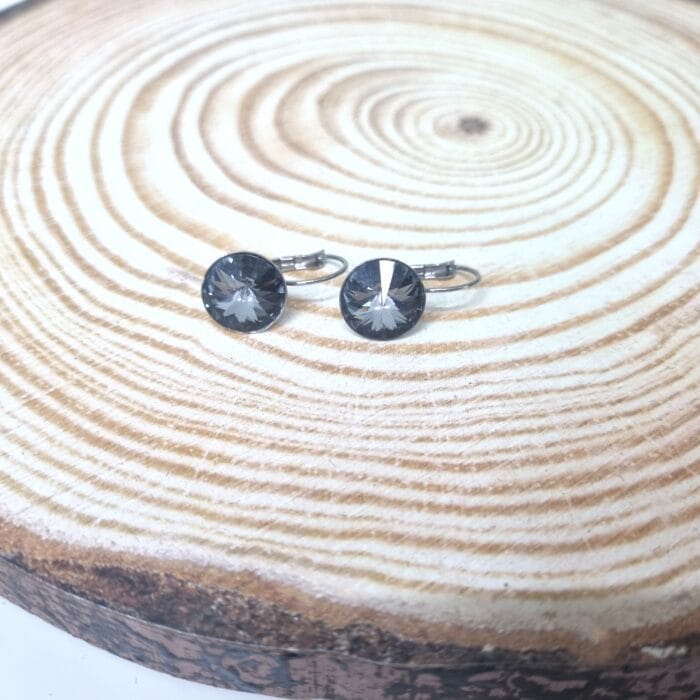 Σ110 Ατσάλινα σκουλαρίκια με στρόγγυλα κρύσταλλα - Image 1